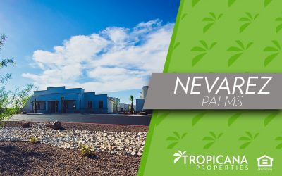 New Property: Nevarez Palms