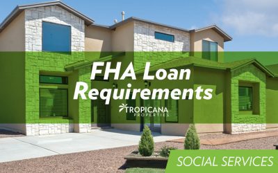 FHA Loan 2020 – FHA Loan Requirements – First Time Home Buyer