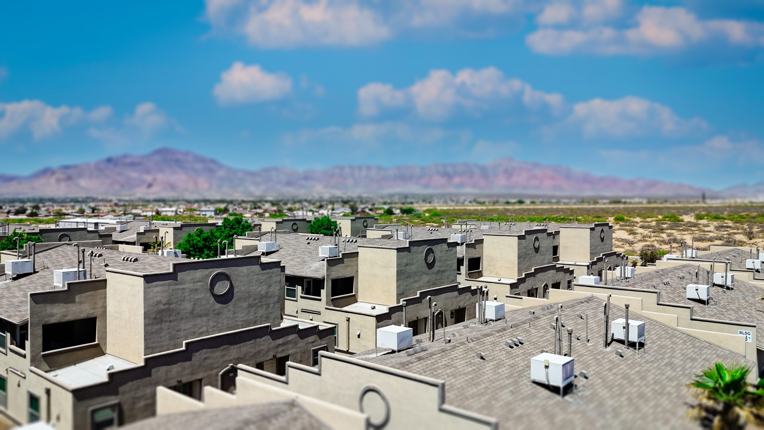 Anthony Banner Image